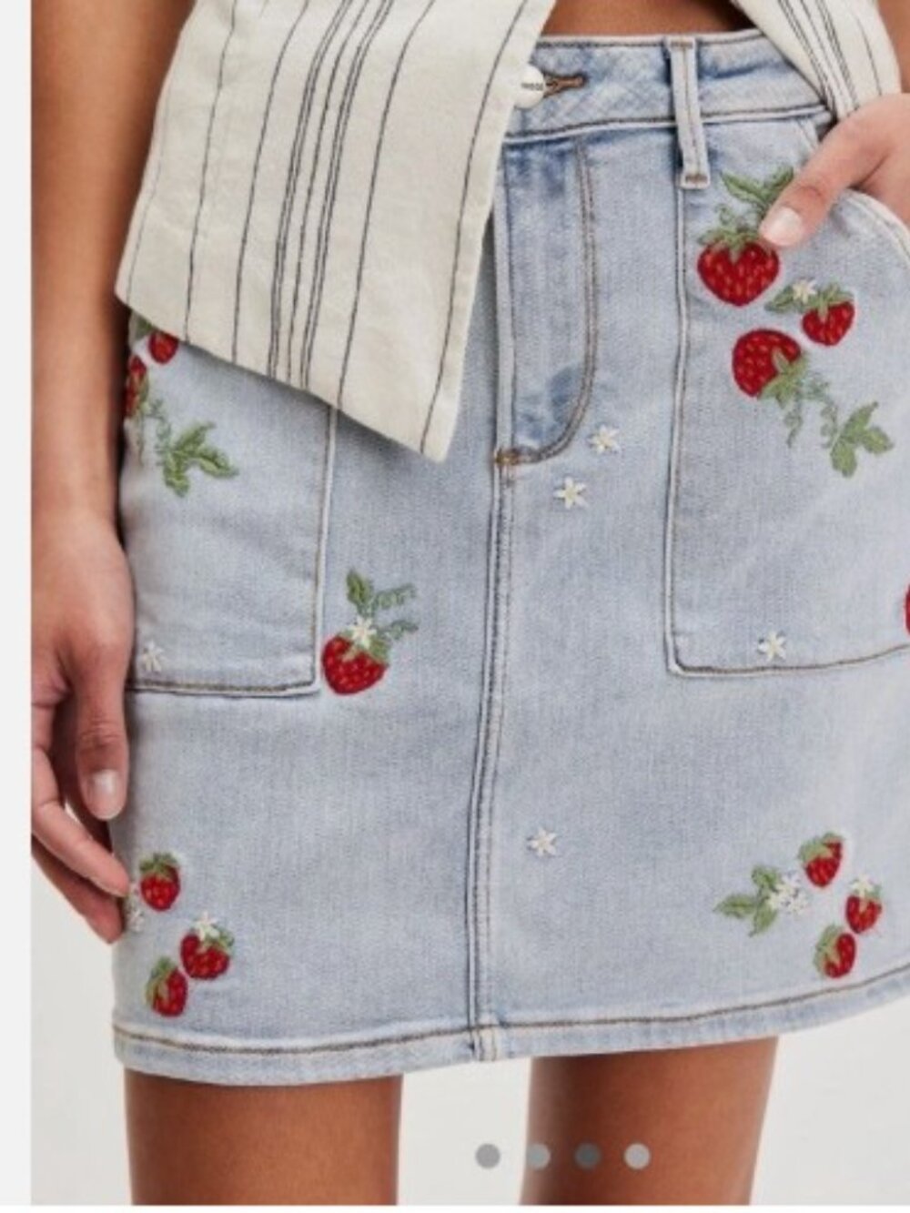 NWT Driftwood Embroidered Mini Skirt size 28